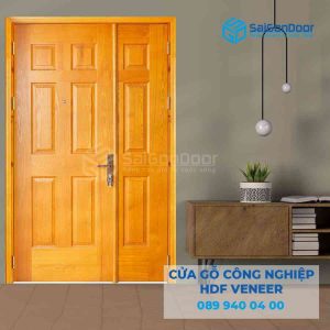 Cửa Gỗ HDF Veneer 9A ash canh lon canh nho